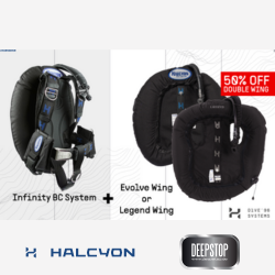 Get Ready for Halcyon’s March Offers!